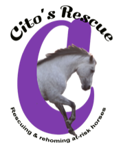 cito's rescue logo