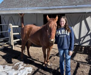 horses saved by citos rescue in loveland